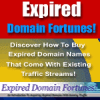Product picture Expired Domain Fortunes  - Make Money With Expired Domains